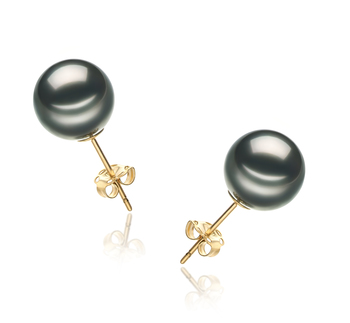 9-10mm AA-Qualität Tahitisch Paar Ohrringe in Schwarz 9-10mm AA-Qualität Tahitisch Paar Ohrringe in Schwarz